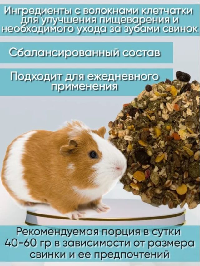 полезность корм для свинок